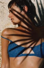TAYLOR HILL for Lavarice Campaign, August 2024