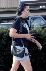 AMANDA BYNES Out and About in Los Angeles 09/11/2024