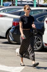 ASHLEY BENSON and Brandon Davis Out with Their Dog in Studio City 09/16/2024