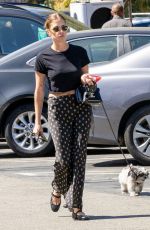 ASHLEY BENSON and Brandon Davis Out with Their Dog in Studio City 09/16/2024