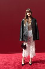 DAKOTA JOHNSON at Gucci Fashion Show at Milan Fashion Week 09/20/2024