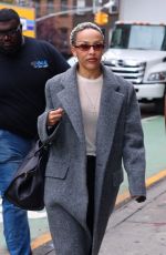 DOJA CAT Arrives at Taglialatella Galleries in New York 09/27/2024