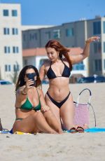 FRANCIA RAISA in Bikini at a Beach in Santa Monica 09/14/2024