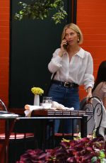 JULIANNE HOUGH Out for Dinner with a Friend in New York 09/07/2024