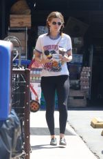 KATE MARA on a Grocery Run in Los Feliz 09/04/2024