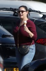 KELLY BROOK and Daniel Craig Out with Her Dog in London 09/17/2024