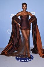 MARIA BORGES at AmfAR Gala at 81st Venice Film Festival 09/01/2024