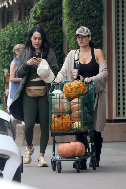 NIKKI and BRIE BELLA Out Shopping for Pumpkins in Napa Valley 09/20/2024