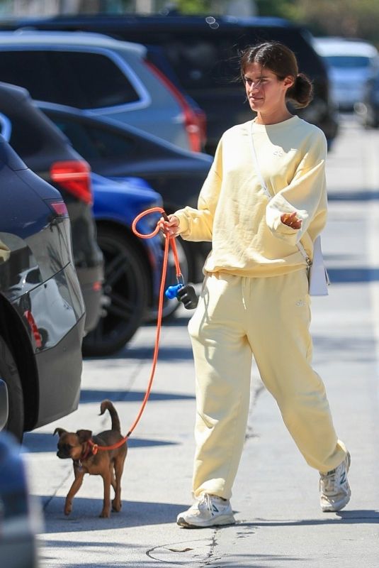 SARA SAMPAIO Out for Lunch with Her Fog Dt Gracias Madre in West Hollywood 09/17/2024