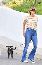 SARAH SILVERMAN and Rory Albanese Out with Their Dogs in Los Angeles 09/12/2024