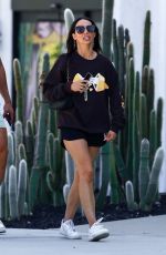 SCHEANA SHAY Out and About in Los Angeles 09/23/2024