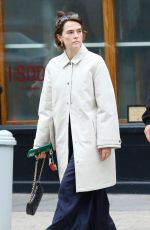ZOEY DEUTCH and Jimmy Tatro Out for Lunch in West Village 09/23/2024
