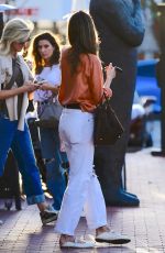 ALESSANDRA AMBROSIO Out for Lunch with Friends in Los Angeles 10/19/2024