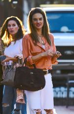 ALESSANDRA AMBROSIO Out for Lunch with Friends in Los Angeles 10/19/2024