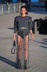 ALICIA VIKANDER Louis Vuitton Paris Womenswear Spring-Summer 2025 show as part of Paris Fashion Week" (01.10.2024