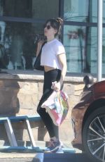 ALISON BRIE Out for Grocery Shopping in Los Feliz 10/22/2024