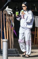 AMELIA HAMLIN Out for Iced Matcha in New York 10/09/2024
