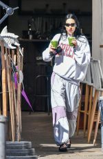 AMELIA HAMLIN Out for Iced Matcha in New York 10/09/2024