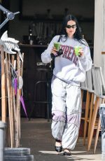 AMELIA HAMLIN Out for Iced Matcha in New York 10/09/2024