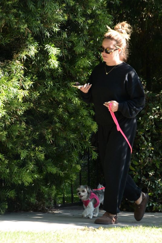 ASHLYE TISDALE Out for a Walk with Her Dog in Los Angeles 10/02/2024