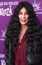 CHER and Alexander Edwards at Cirque du Soleil