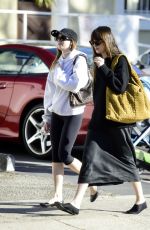 DAKOTA JOHNSON Out After a Girls Lunch in Los Angeles 10/30/2024