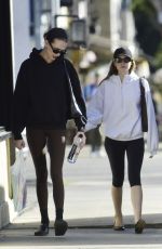 DAKOTA JOHNSON Out After a Girls Lunch in Los Angeles 10/30/2024