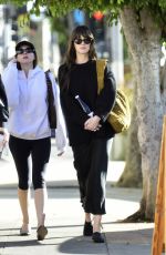 DAKOTA JOHNSON Out After a Girls Lunch in Los Angeles 10/30/2024
