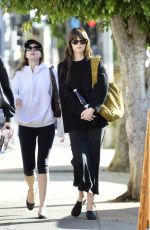 DAKOTA JOHNSON Out After a Girls Lunch in Los Angeles 10/30/2024