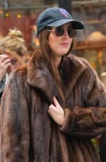 DAKOTA JOHNSON Out and About in New York 10/14/2024