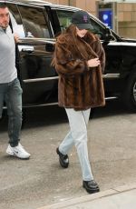 DAKOTA JOHNSON Out and About in New York 10/14/2024
