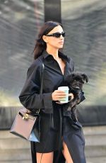 IRINA SHAYK All in Black Walks Her Dog in New York 10/22/2024