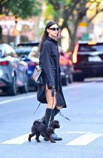 IRINA SHAYK All in Black Walks Her Dog in New York 10/22/2024