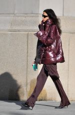 IRINA SHAYK Catches a Taxi Cab in New York City 10/28/2024