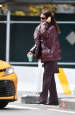 IRINA SHAYK Catches a Taxi Cab in New York City 10/28/2024