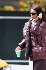 IRINA SHAYK Catches a Taxi Cab in New York City 10/28/2024