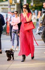 IRINA SHAYK in a Red Dress Out with Her Dog in New York 10/21/2024