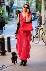 IRINA SHAYK in a Red Dress Out with Her Dog in New York 10/21/2024
