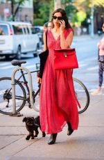 IRINA SHAYK in a Red Dress Out with Her Dog in New York 10/21/2024