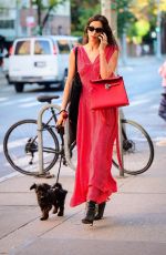 IRINA SHAYK in a Red Dress Out with Her Dog in New York 10/21/2024