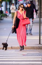 IRINA SHAYK in a Red Dress Out with Her Dog in New York 10/21/2024