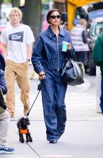 IRINA SHAYK in Doubles Denim Out with Her Dog in New York 10/09/2024