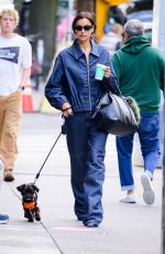 IRINA SHAYK in Doubles Denim Out with Her Dog in New York 10/09/2024