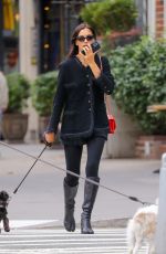 IRINA SHAYK Out with Her Dog in New York 10/17/2024
