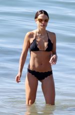 JORDANA BREWSTER in Bikini at Santa Barbara Beach 10/21/2024