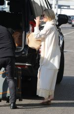 JULIANNE HOUGH Flagging Down Her Uber at LAX Airport in Los Angeles 10/24/2024