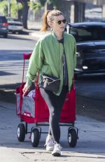 KATE MARA Out and About in Los Angeles 10/13/2024