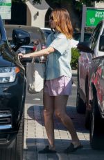 KATE MARA Out for Grocery Shopping at Lazy Acres Market in Los Angeles 09/30/2024
