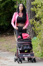 KATIE PRICE Walking Her New Sphynx Cats in a Pink Pram in London 10/22/2024