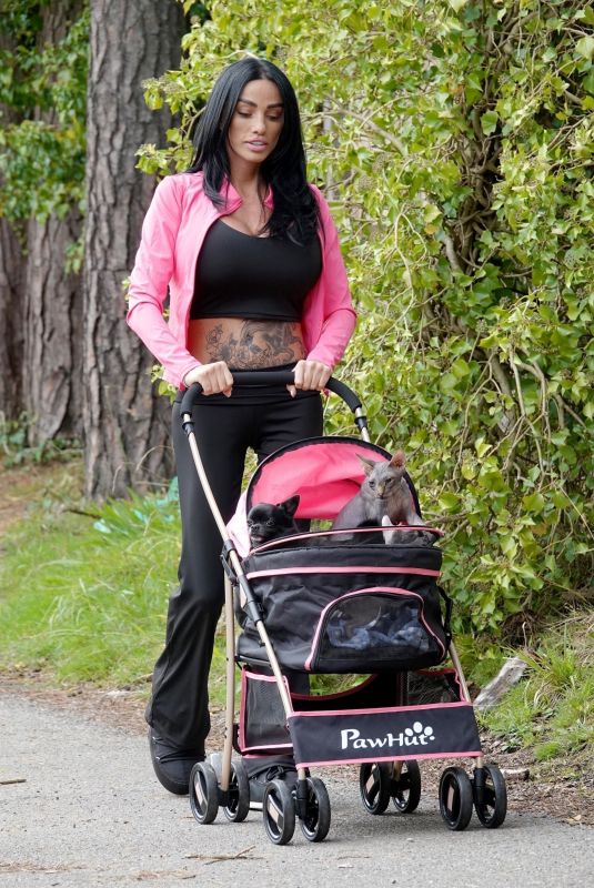KATIE PRICE Walking Her New Sphynx Cats in a Pink Pram in London 10/22/2024
